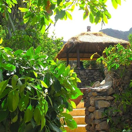 Villa With Ocean View Agulo Exteriér fotografie